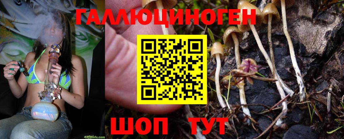 Галлюциногенные грибы Psilocybine cubensis  Вход с VPN  Гуково 